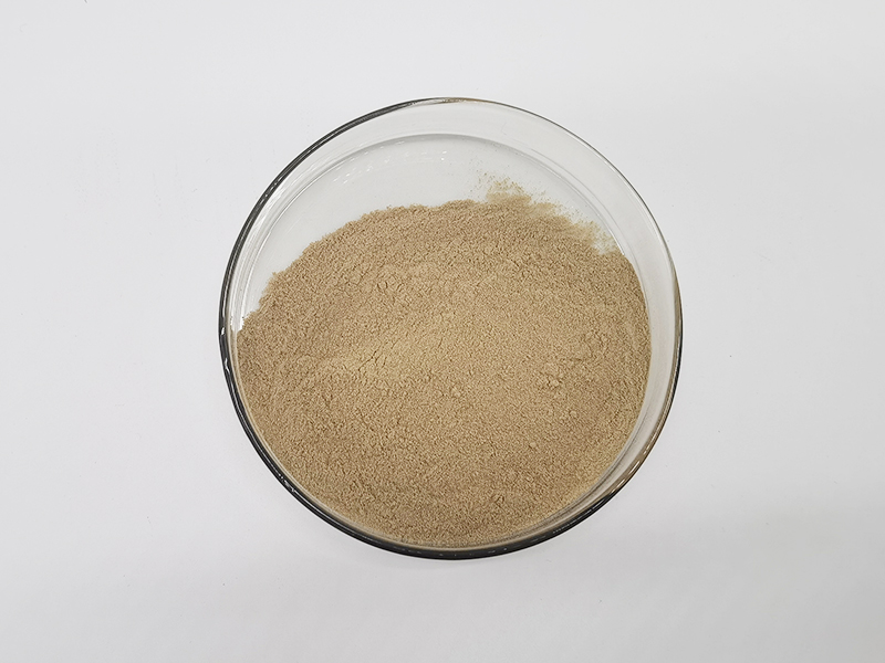 Ribonucleic acid
