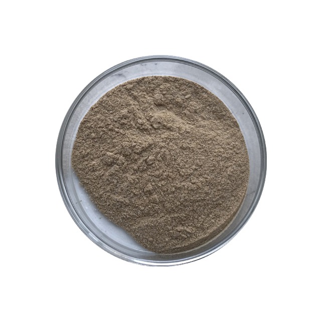 Bacillus Megaterium