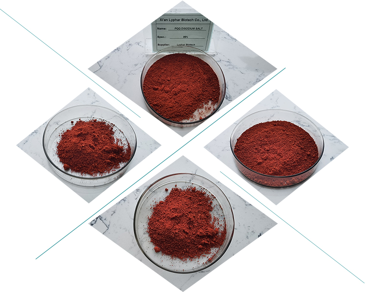 Pyrroloquinoline Quinone
