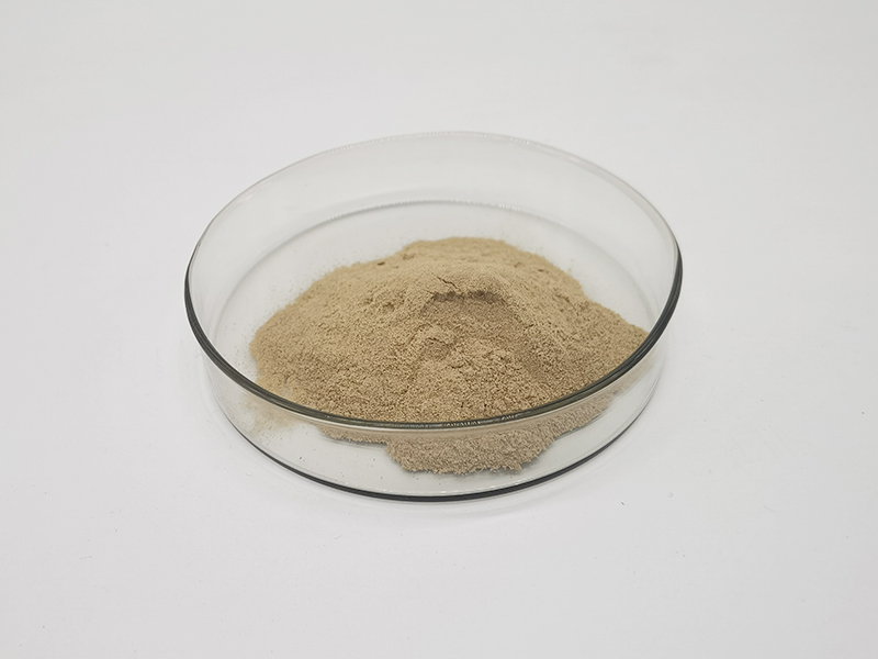 Ribonucleic acid