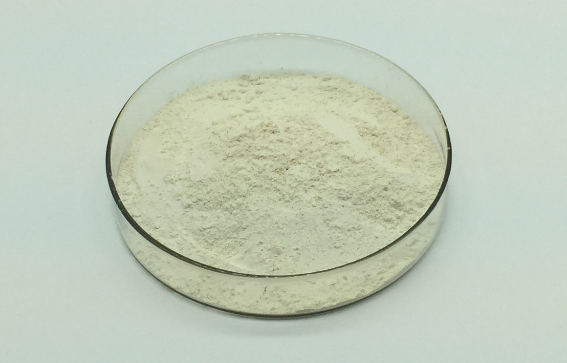 Silk Fibroin