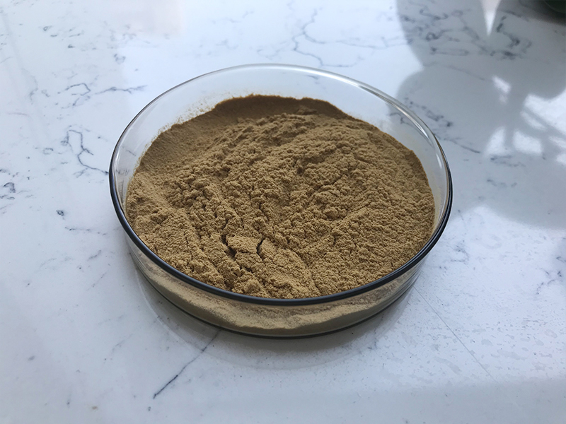 Ginseng Extract