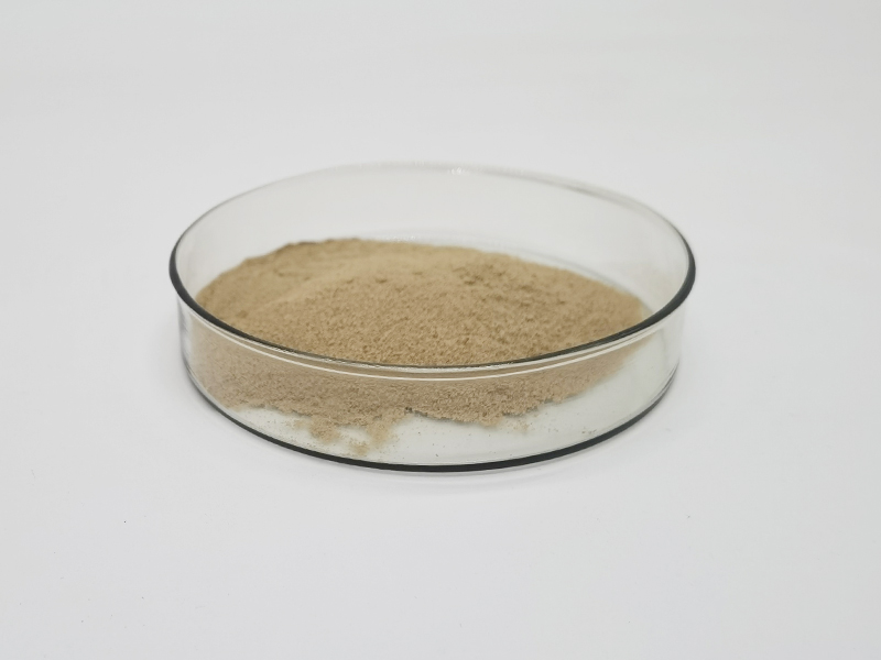Ribonucleic acid