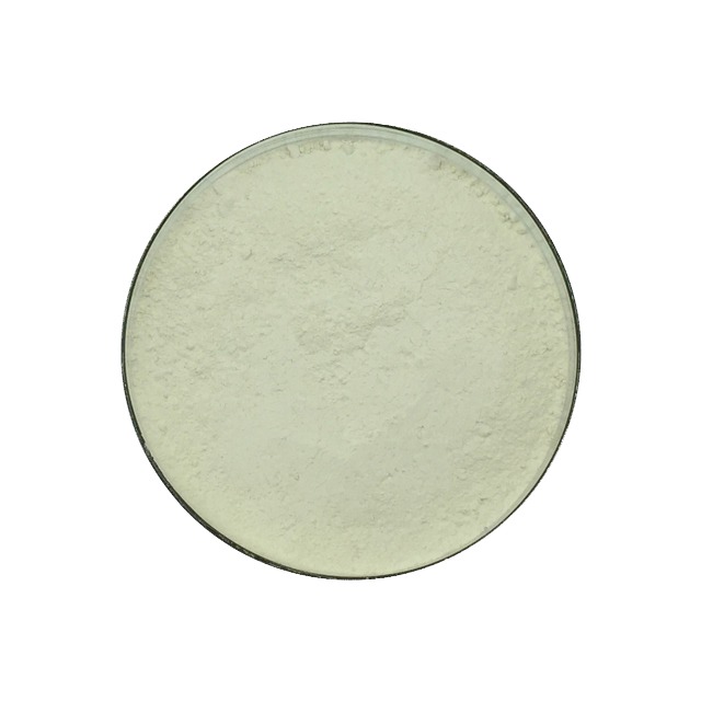 Silk Fibroin