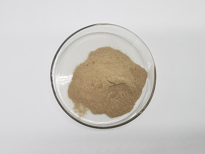 Ribonucleic acid