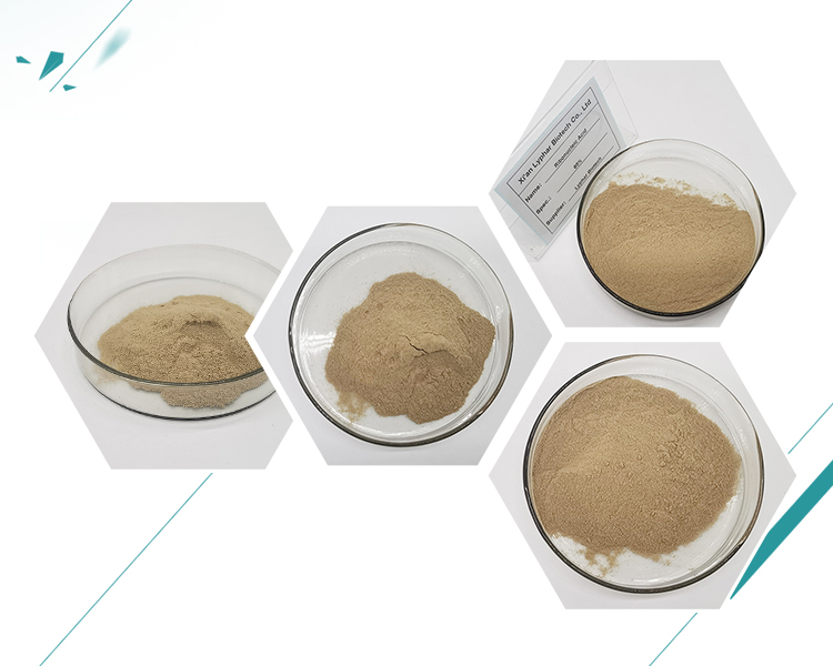 Ribonucleic acid