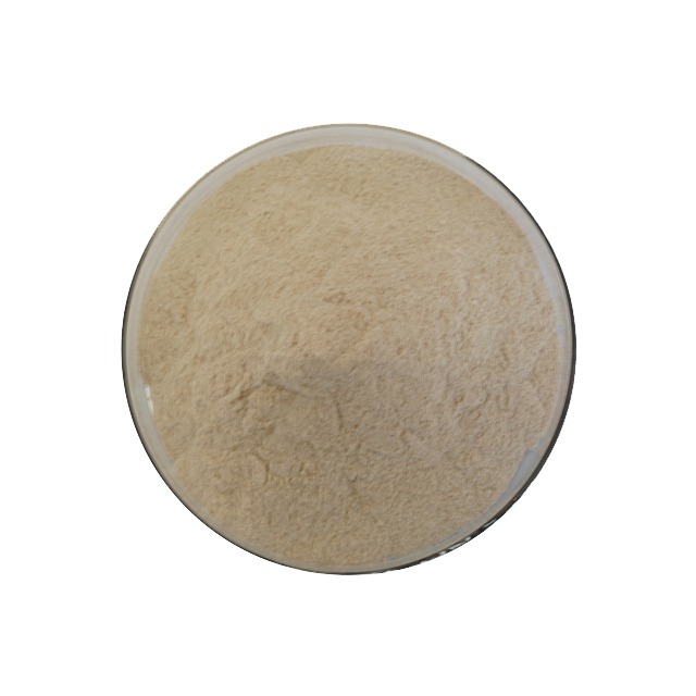 Protease