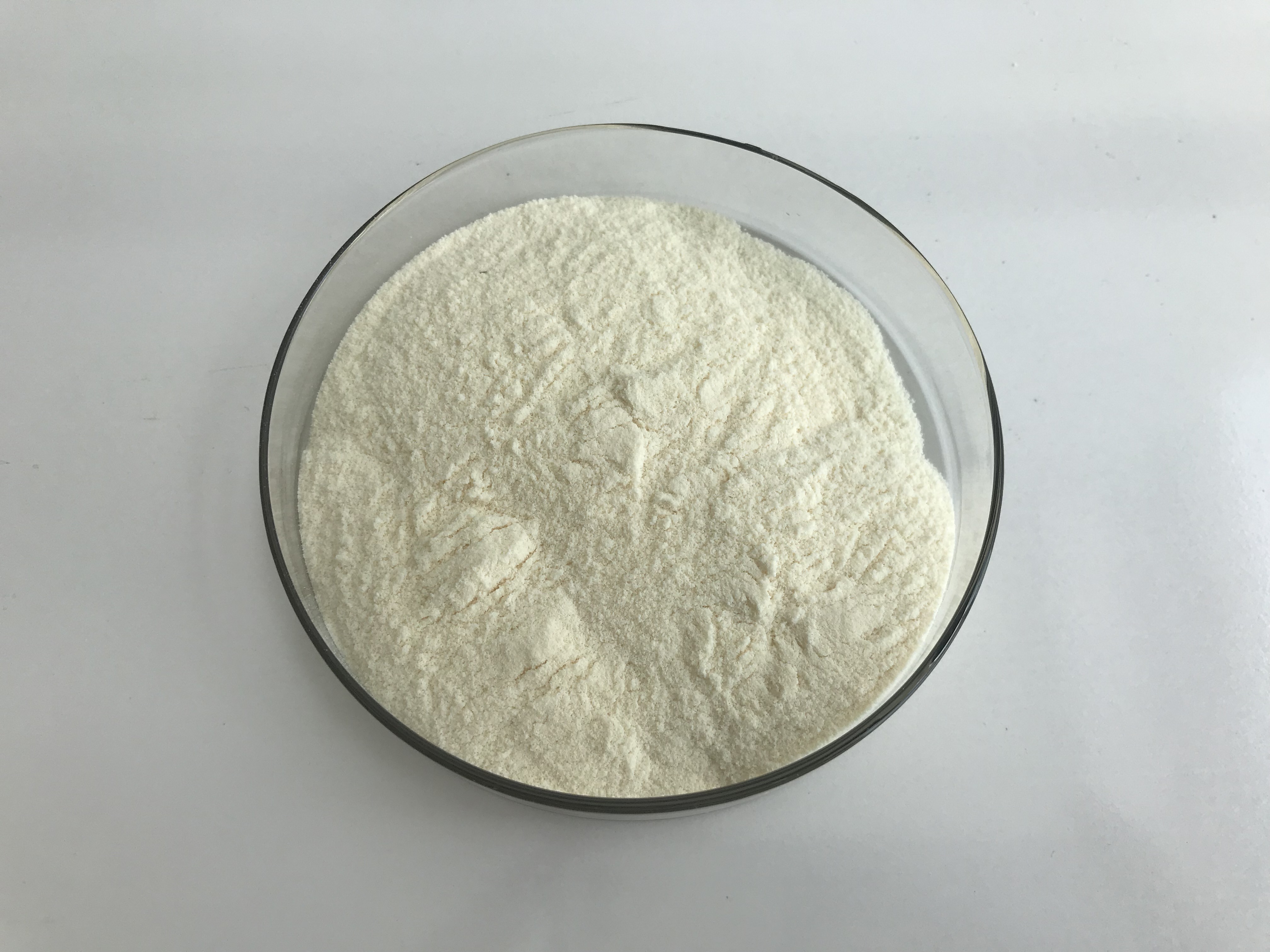 Arachidonic Acid
