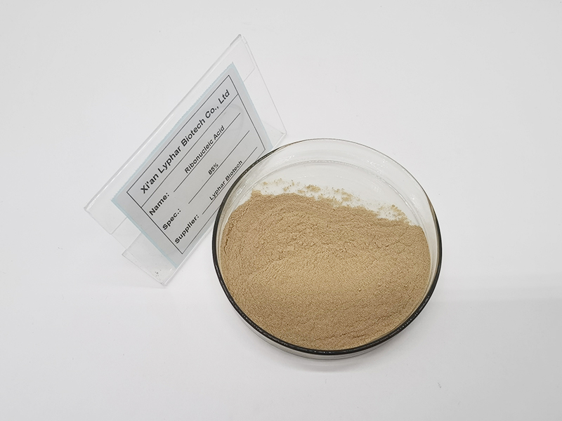 Ribonucleic acid