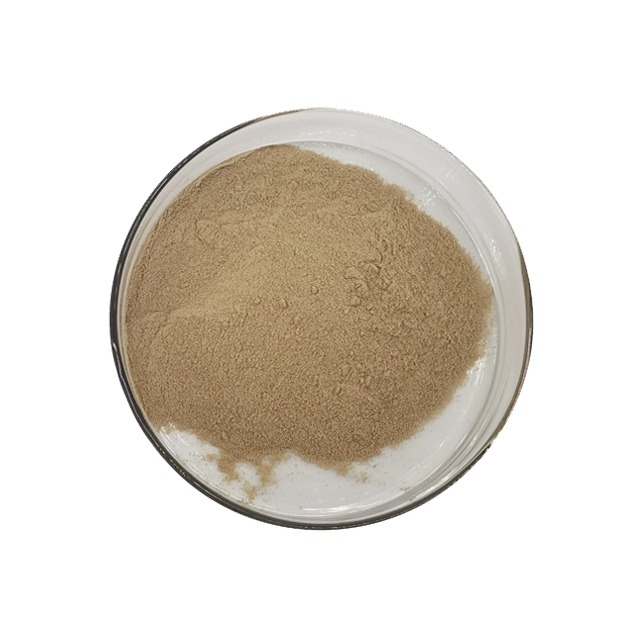 Ribonucleic acid