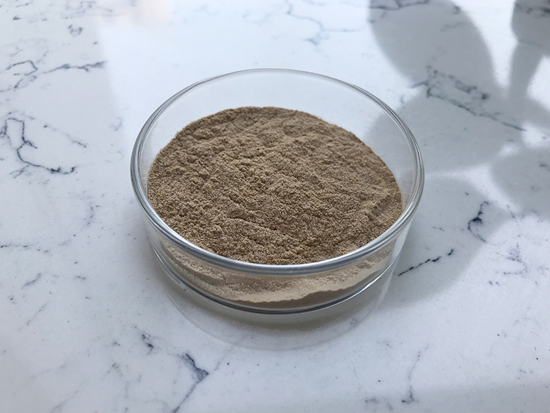 Bacillus Megaterium