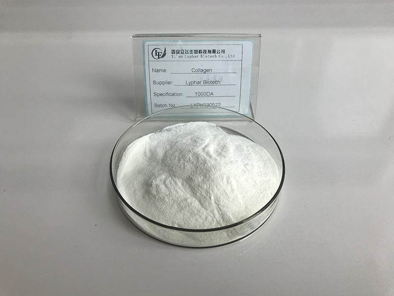 Collagen