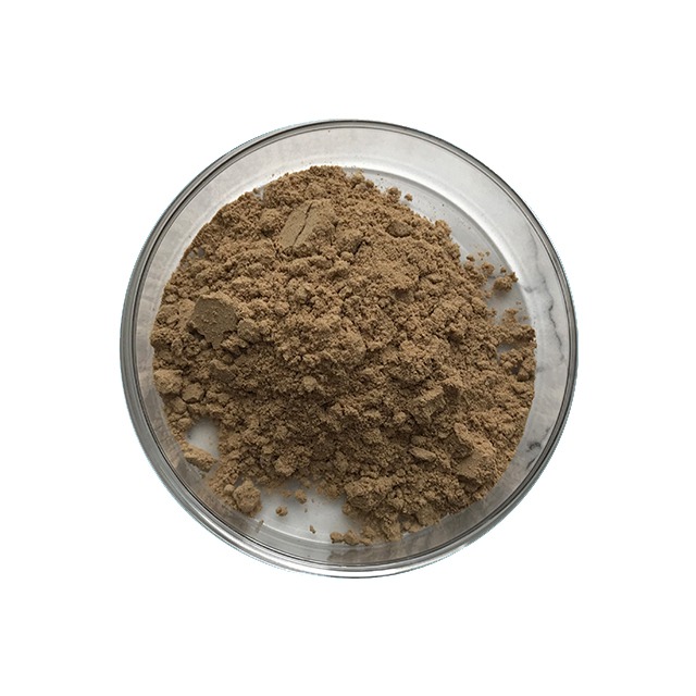 Bacillus Pumilus