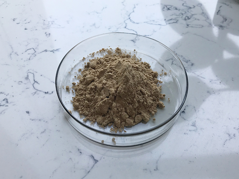 Bacillus Thuringiensis