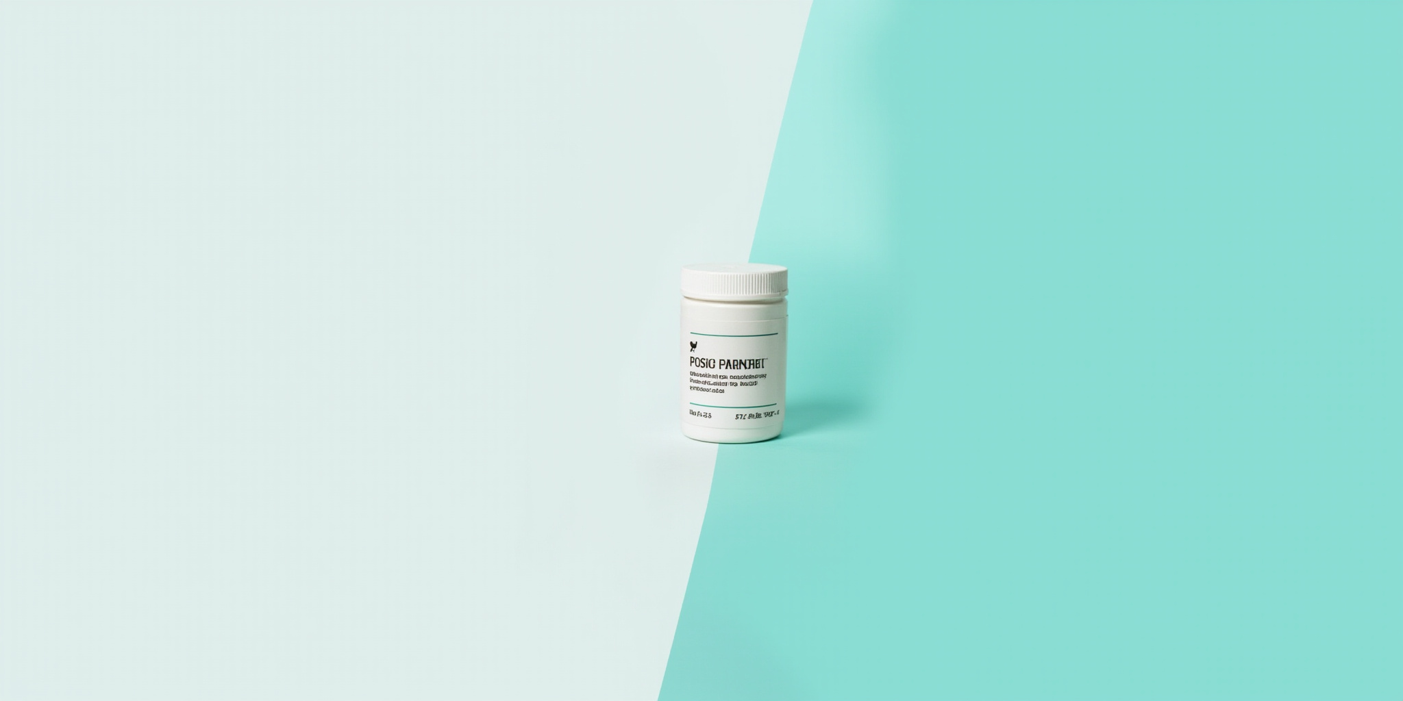 Praziquantel: An Overview of Its Anthelmintic Value